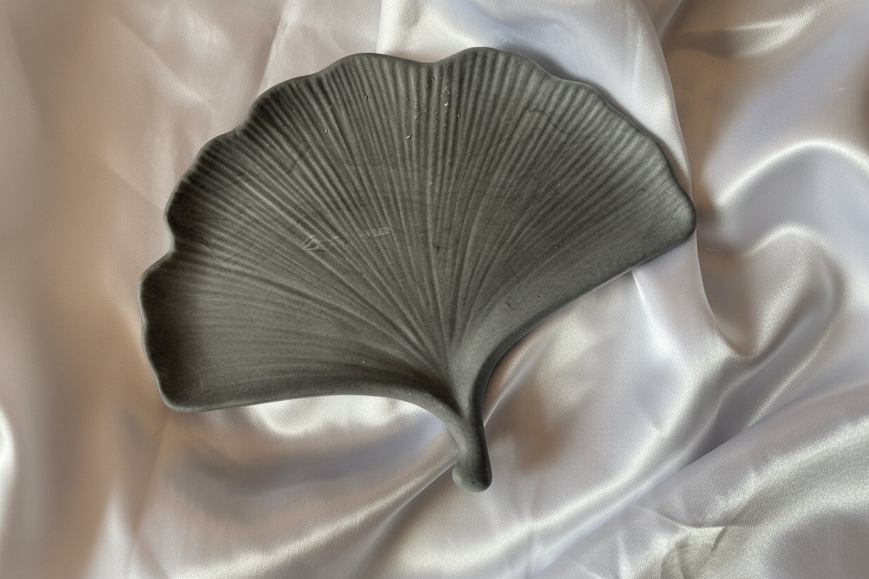 vide poche feuille de biloba