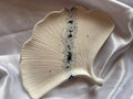 vide poche feuille biloba