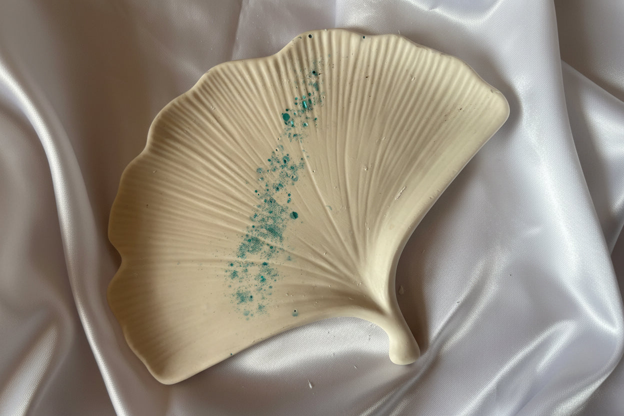 vide poche feuille de biloba